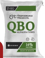 QBO LTC